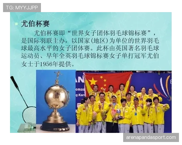 裁判怎么判定干扰球违例？完整规则详解