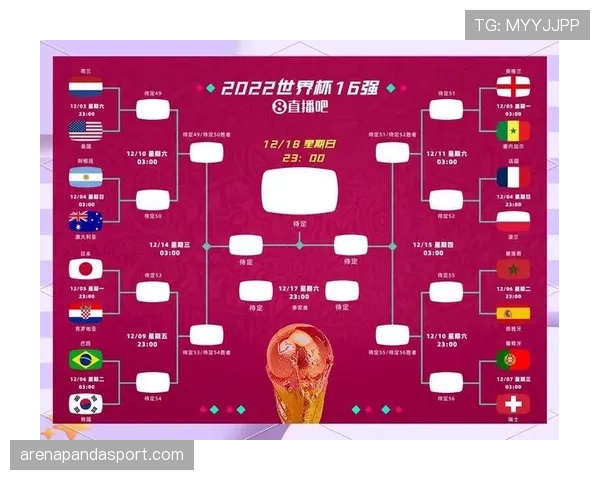 世界杯C组四队晋级机会对比